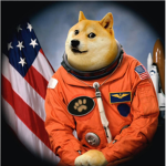 Team clockwise doge