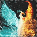 phoenix followers