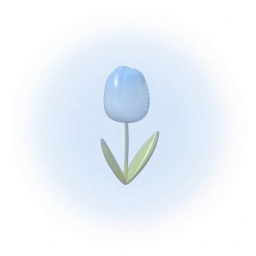 •┈••✦ 💙 ✦••┈•