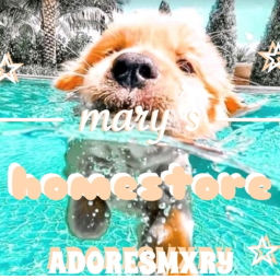 mary's homestore!