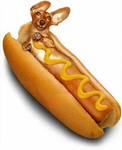 KetchupXMustard