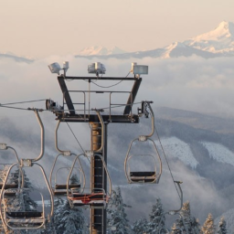Timberline (BETA)