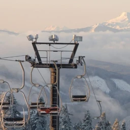 Timberline (BETA) icon