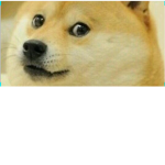 Doge Rule Group