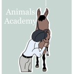 • Animals Academy •