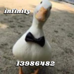 INFINITY-CREW