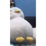 My friend penguin
