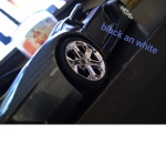 Team black an white