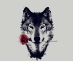 assassin wolf fan club
