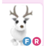 Selling amazing pets