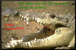 the killer crocs