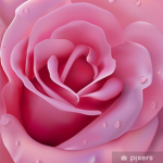 lovely_roses87