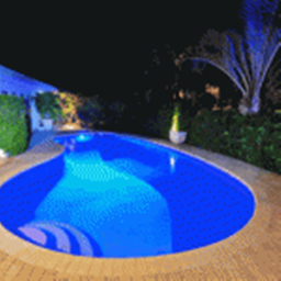 exotic pool