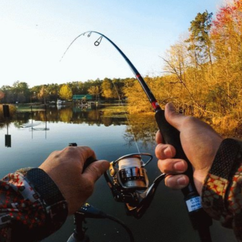 Уютная Рыбалка  [БETА]