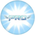 pro and profession group