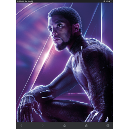 Rip black panther