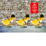 Manny's Ducklings