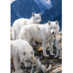 Moon Shinners Wolf Pack