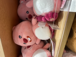 Starry home store