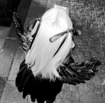 - Cybrie 505
