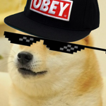 Teh mlg team...
