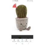 Cactus group xd