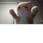 Tall Cats United