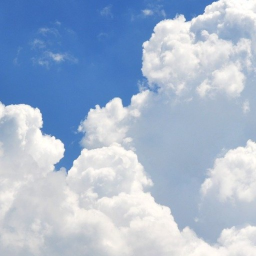 Sky Realm