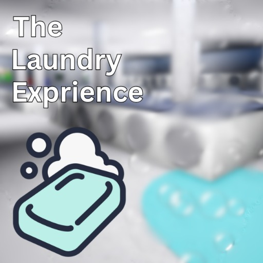 The Laundry Experience