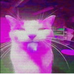 cuubert