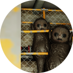 Teletubby Secret Lair WIN