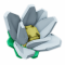 Drowse Daisy produce