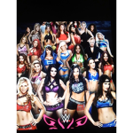 WWEFANGROUP1651