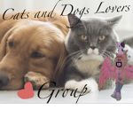The group for the people who like CATS and DOGS