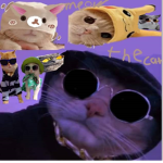 Cat fam/aim clan/ffhclan