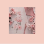 -. sakura -.