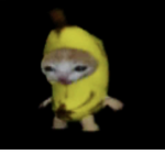Banana cats cloths