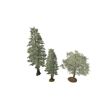 Forest Pack