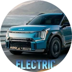 Electric Selection Car Pass