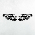 The Winged Warriors (T.W.W)