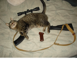 super cat gang