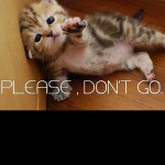 Favorite If you are against Animal abuse 