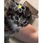 CACAPWEPEEOHIO