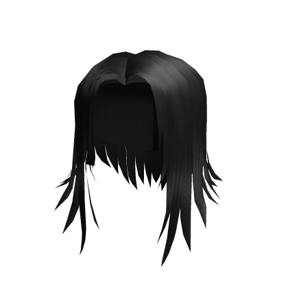 Long Straight Hair (Black) Roblox item