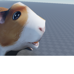 Hi