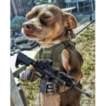 the team dog army