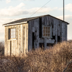 Surprise Shack