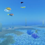 CoraI Cove