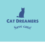 Cat Dreamers