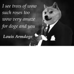 The Doge Empiree